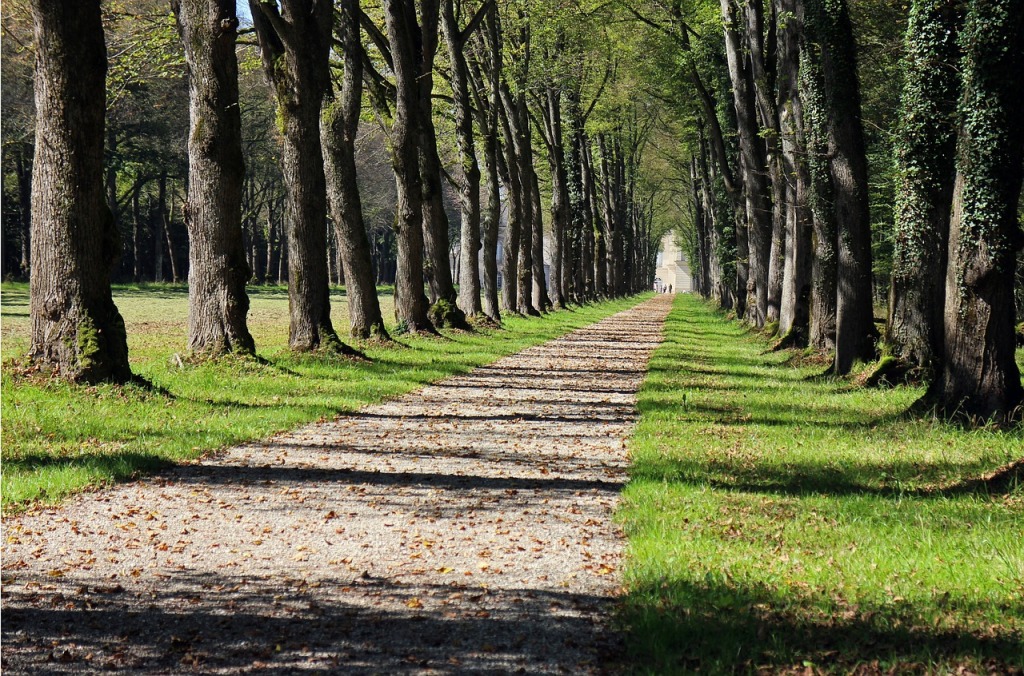 Neue Wege zu gehen ist schwierig. Aber nur der Weg führt zum Ziel "Zweisamkeit und ein neuer Wegbegleiter"!