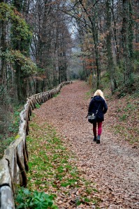 Gehen Sie den Weg nicht allein. Es gibt viele Singles ab 60, die den Weg mit Hilfe einer Partnervermittlung gehen.